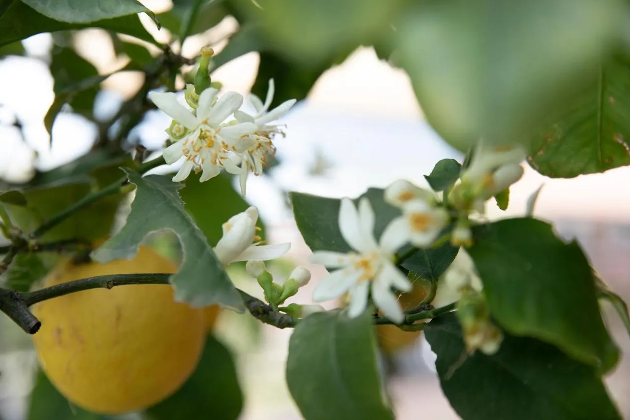 *** Bed & Breakfast Ai Ronchi B&B Riva di Solto Italia
